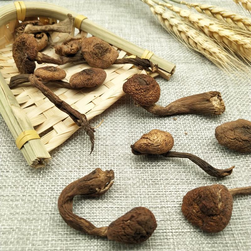 东北山珍特产榛蘑干货小鸡炖蘑菇山货臻蘑