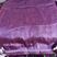 紫罗兰紫葱网袋红葱网袋厂家定制货源稳定可视频看货