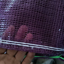 紫罗兰紫葱网袋红葱网袋厂家定制货源稳定可视频