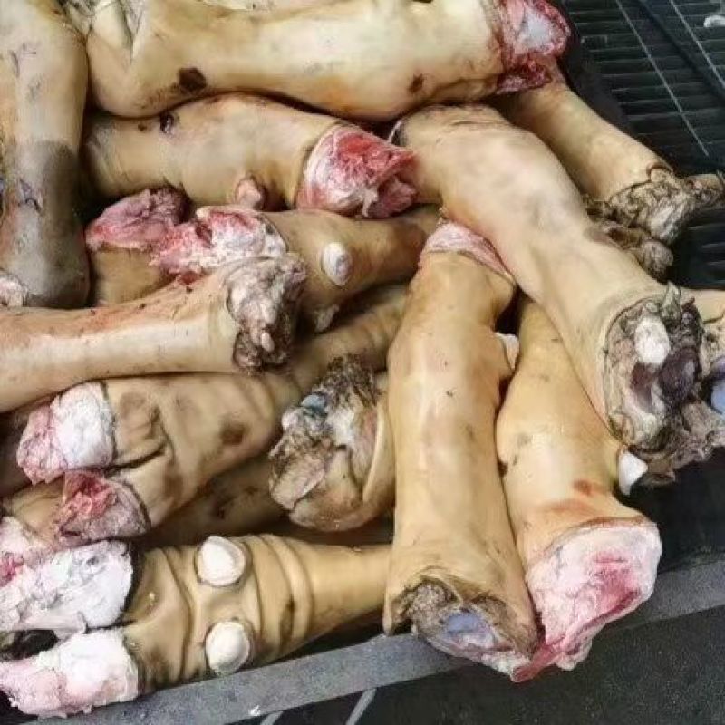 公牛牛蹄火烧去毛干净可以锯段