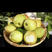 新疆库尔勒香梨，味甜爽滑，皮薄肉细，入口即化，