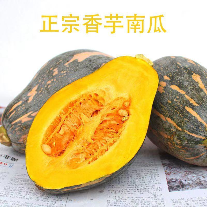 正宗广东香芋南瓜新鲜粉嫩甜糯香芋味老南瓜孕妇宝宝辅食小南
