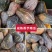 正宗广东香芋南瓜新鲜粉嫩甜糯香芋味老南瓜孕妇宝宝辅食小南