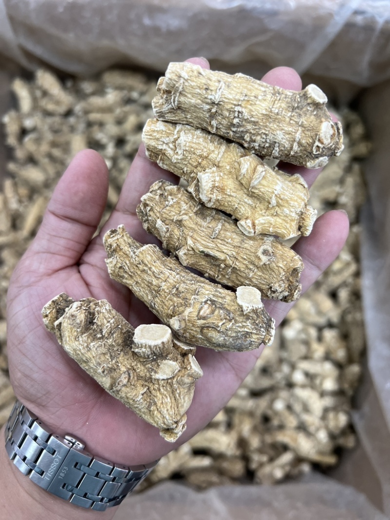 加拿大西洋参，20年老参头，可打粉可切片