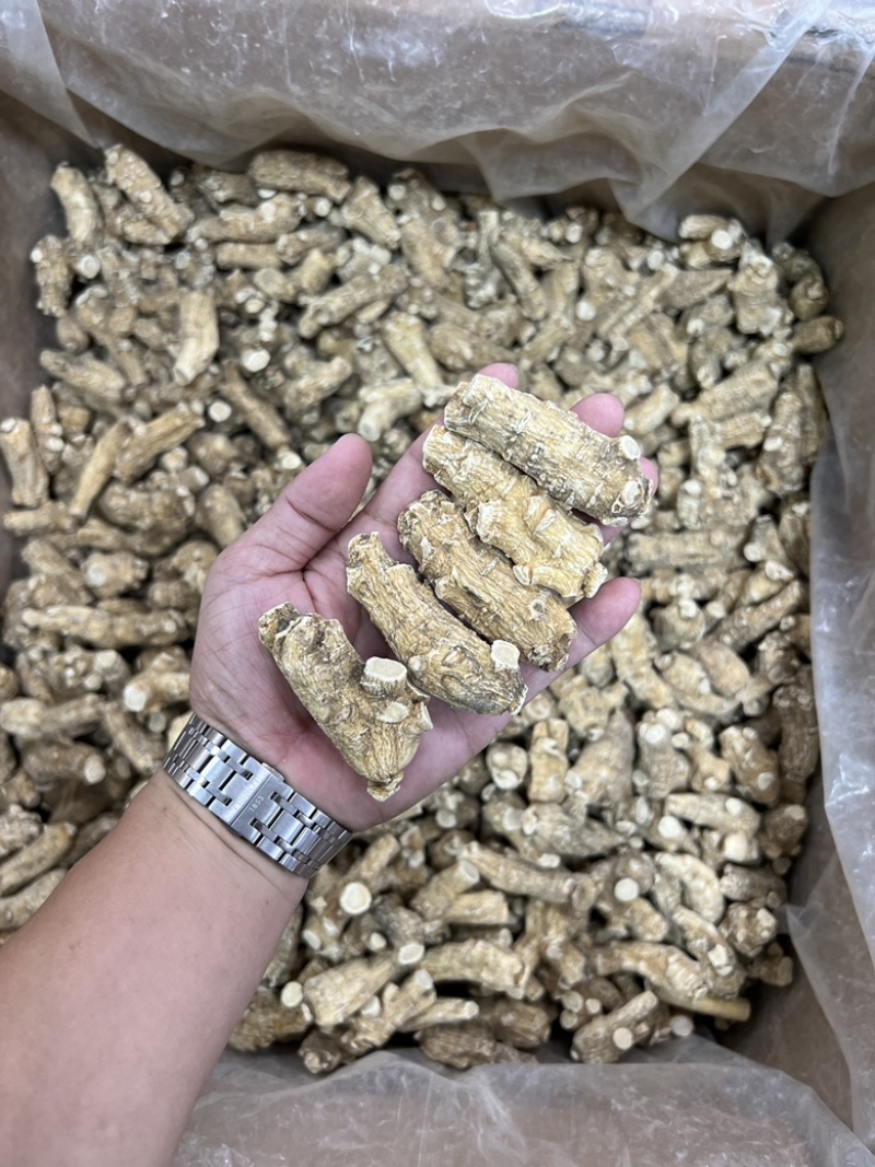 加拿大西洋参，20年老参头，可打粉可切片