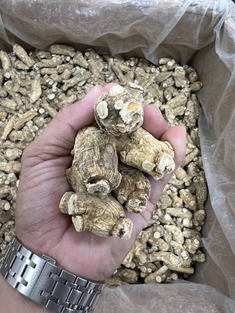 加拿大西洋参，20年老参头，可打粉可切片