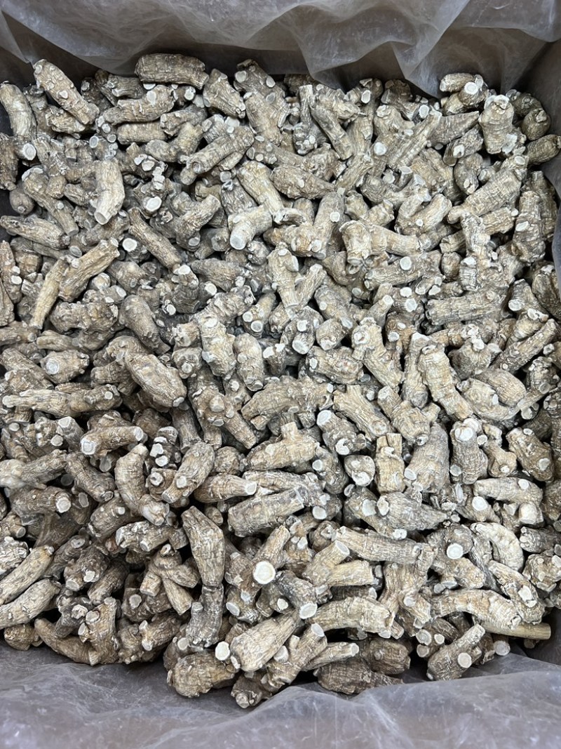 加拿大西洋参，20年老参头，可打粉可切片