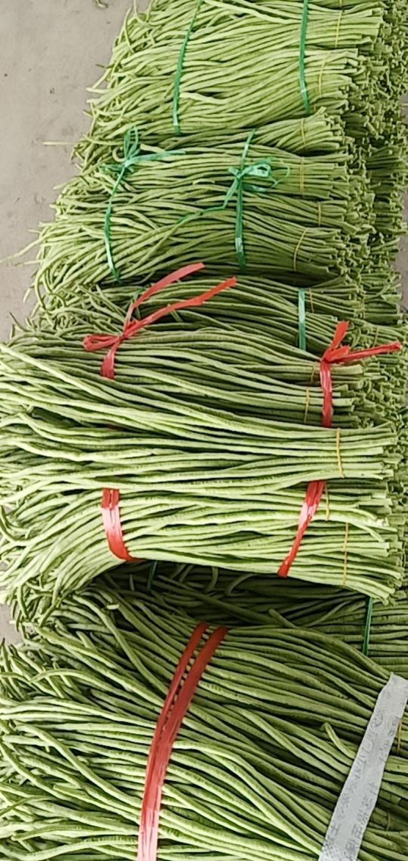 精品豆角，大量上市，价格合适，需要的老板联系
