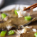 单冻鼓眼鱼，批发！青岛本地特产，青岛发货！