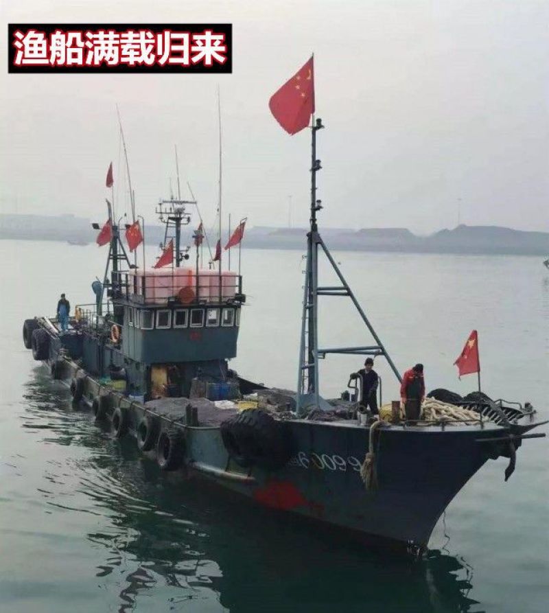 单冻鼓眼鱼，批发！青岛本地特产，青岛发货！