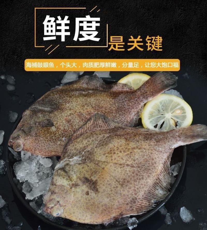 单冻鼓眼鱼，批发！青岛本地特产，青岛发货！