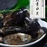 鲜活特大青口贝新鲜大海虹淡菜贻贝贝类水产10斤装