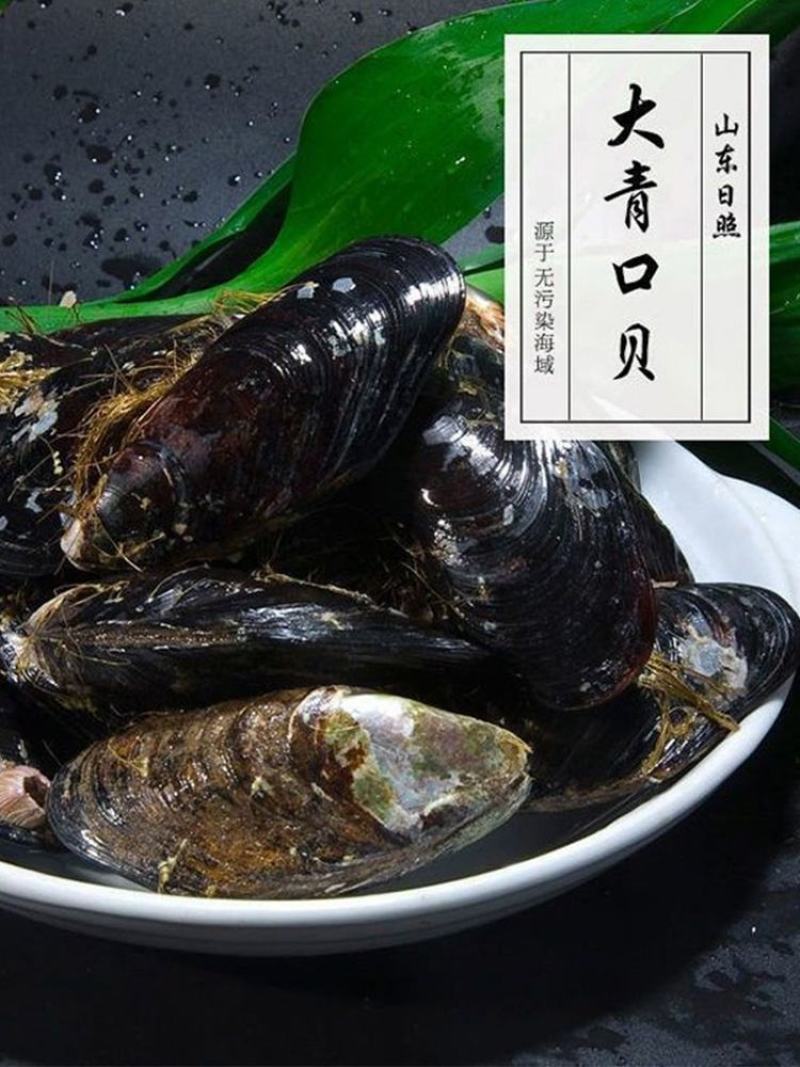 鲜活特大青口贝新鲜大海虹淡菜贻贝贝类水产10斤装