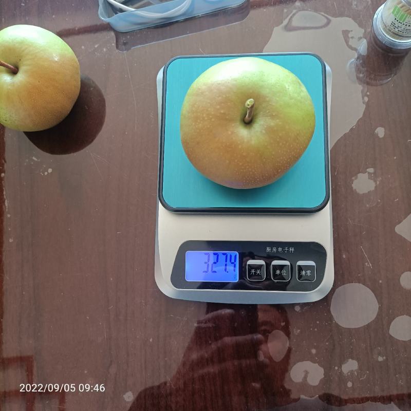 辽宁北镇苹果梨