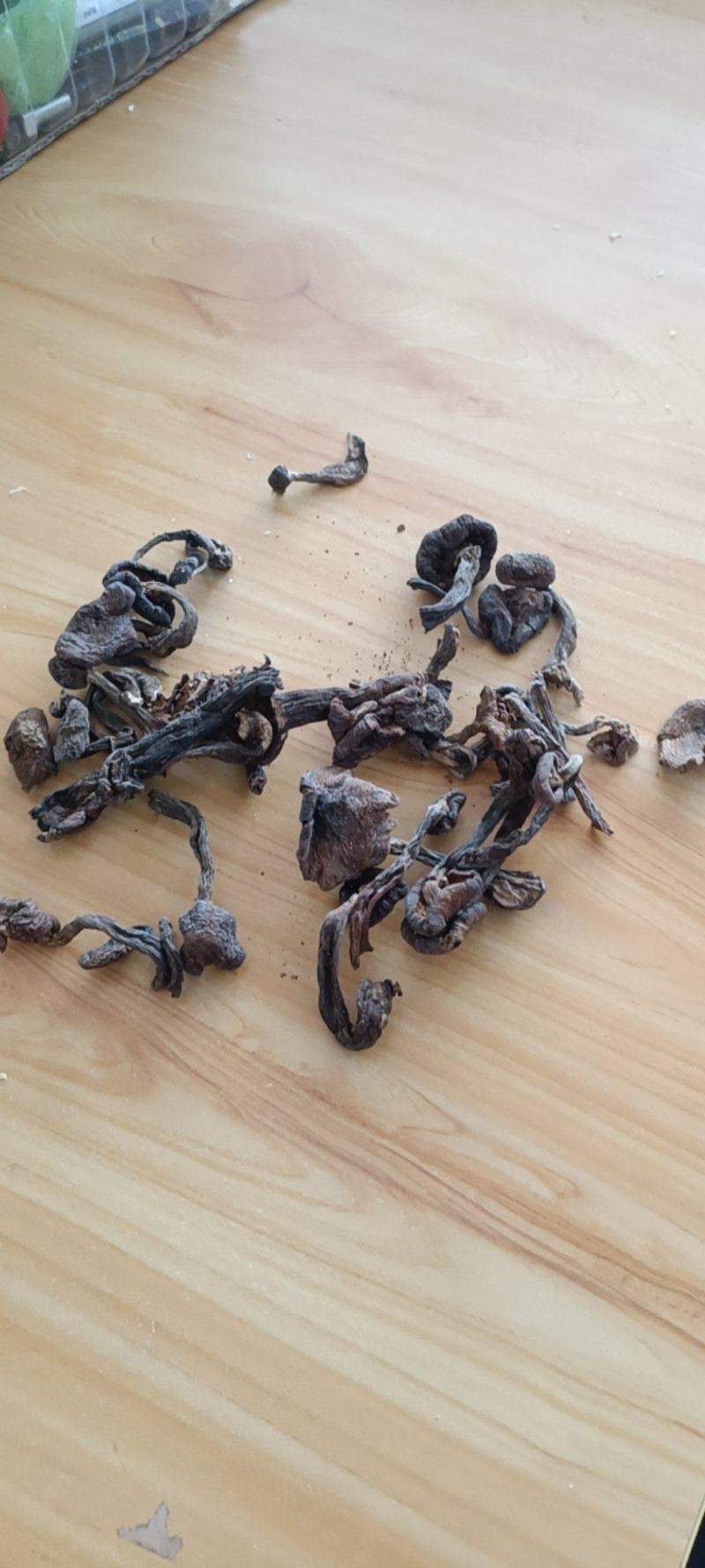 东北山珍特产榛蘑干货小鸡炖蘑菇山货臻蘑