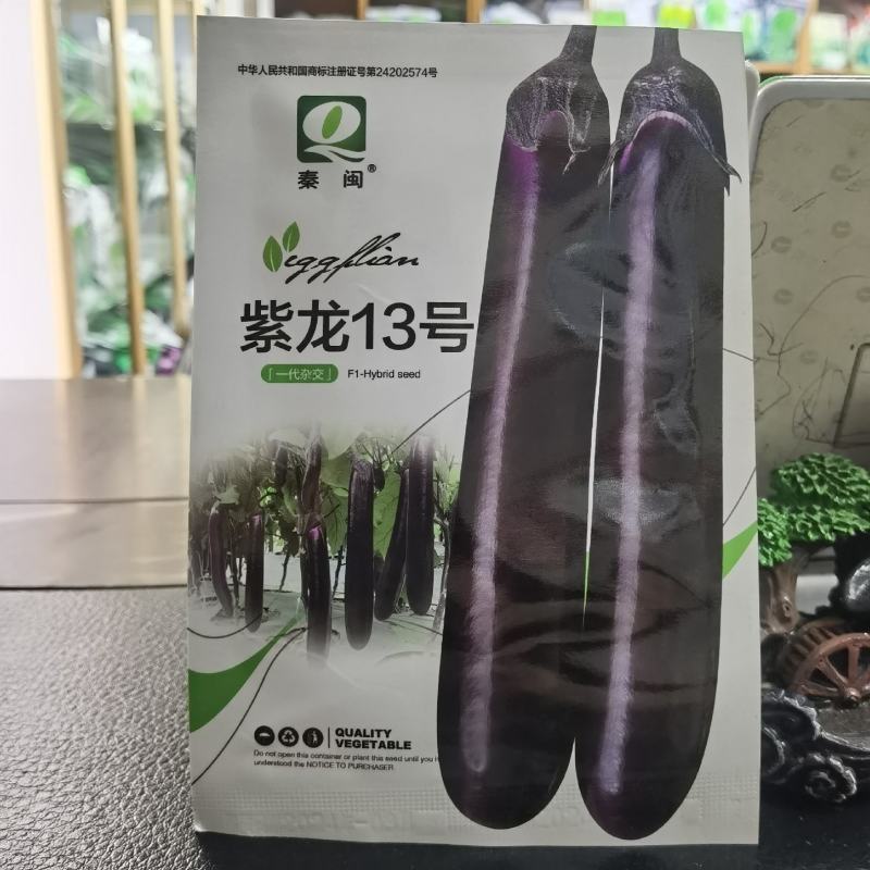 紫龙13长茄种子紫黑茄子种籽阳台四季农家蔬菜烧烤茄种子
