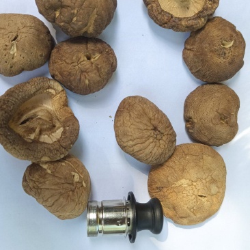 新货干香菇干货花菇商用特级无根椴木小香茹蘑菇冬菇干蘑菇小