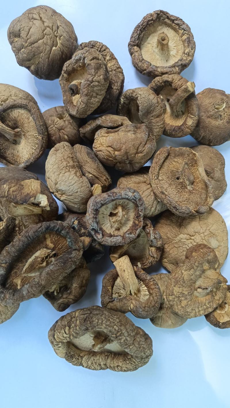 新货干香菇干货花菇商用特级无根椴木小香茹蘑菇冬菇干蘑菇小