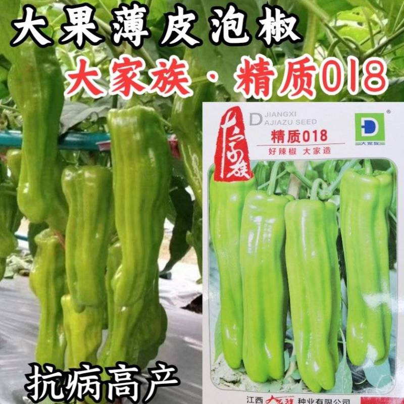 大家族精质018薄皮泡椒种子黄皮大果椒辣椒种子微辣种子