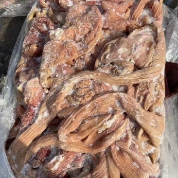 牛大肠，可红烧可卤炖，可爆炒，可灌肠，口感鲜嫩，干净无油