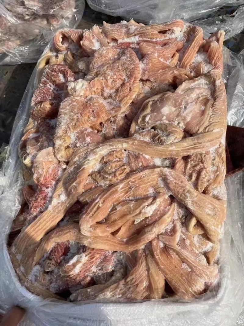 牛大肠，可红烧可卤炖，可爆炒，可灌肠，口感鲜嫩，干净无油