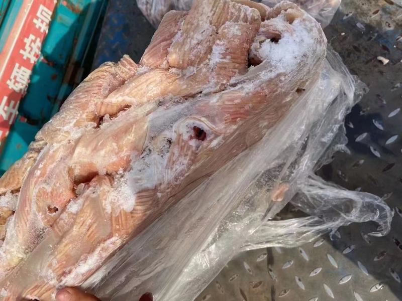 牛大肠，可红烧可卤炖，可爆炒，可灌肠，口感鲜嫩，干净无油