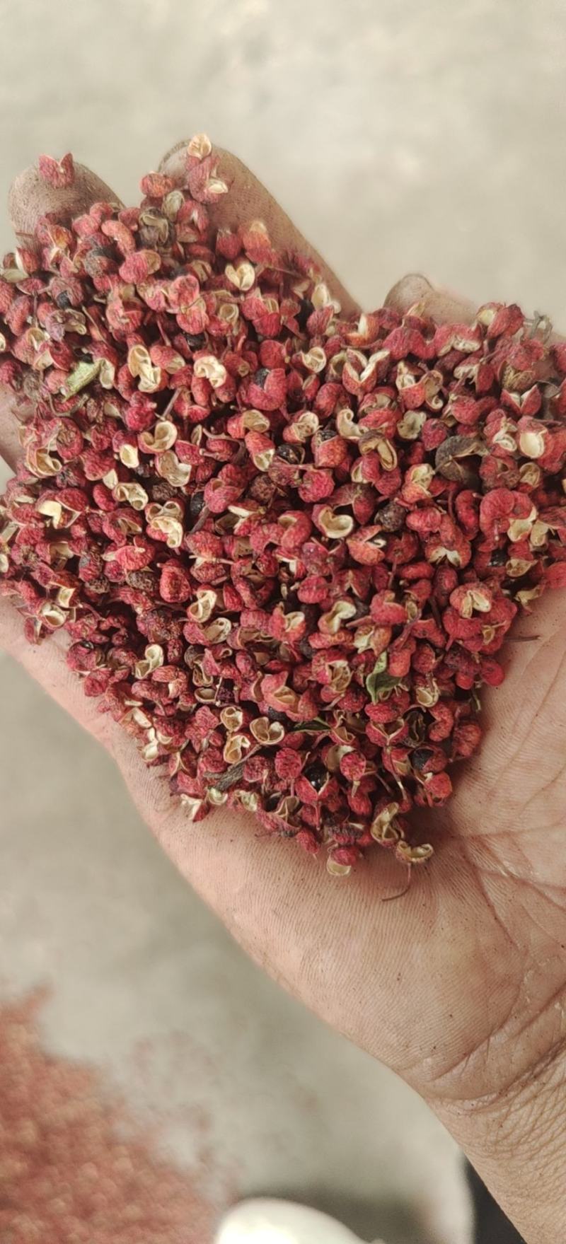 大红袍花椒，干花椒，本品种又名八月炸，味道又香又麻。
