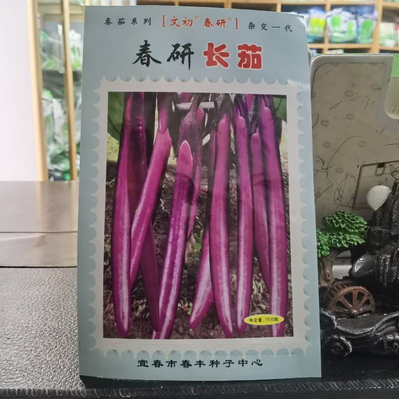 文初春研长茄种子茄子种孑线茄四季蔬菜种籽春季秋冬茄子种籽