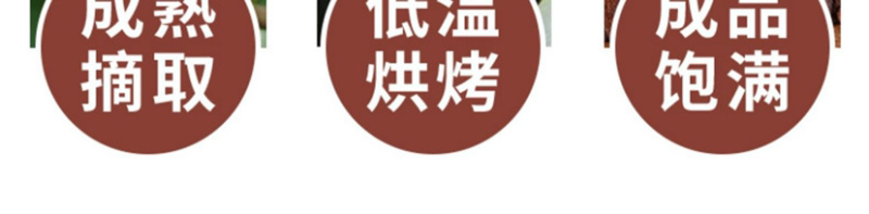 原味烤核桃新疆熟核桃纸皮核桃5斤包邮