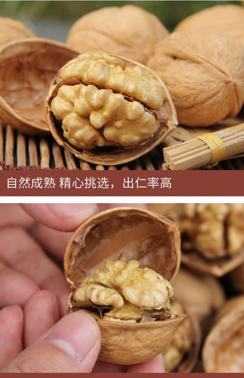 原味烤核桃新疆熟核桃纸皮核桃5斤包邮