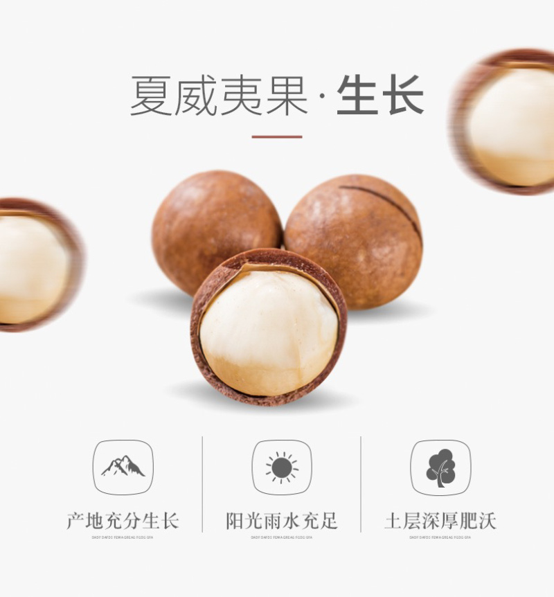 特惠包邮奶油夏威夷果3斤一件代发