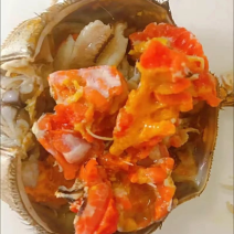 精品优质大闸蟹，河蟹，产地直发，阳澄湖直发