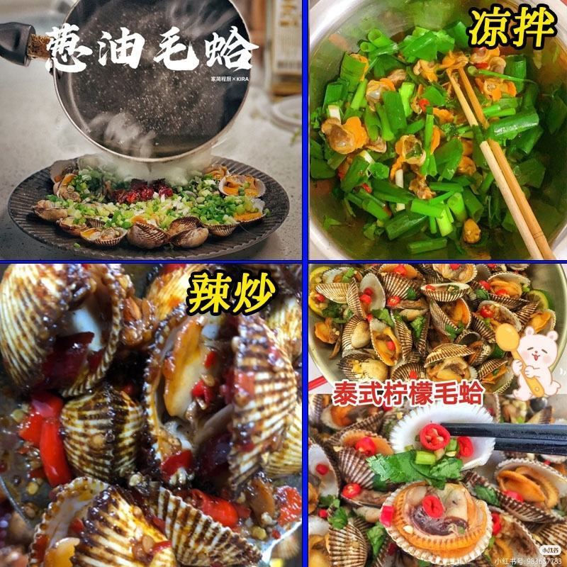 新鲜鲜活毛蛤蜊毛蚶海捕银蚶血蛤青岛海鲜贝类海鲜水产