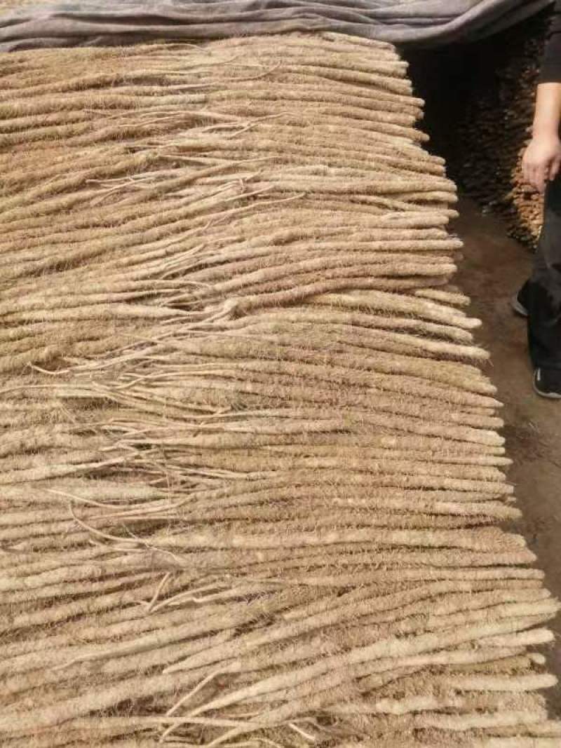 麻山药现挖现发全国发货诚信经营规格齐全