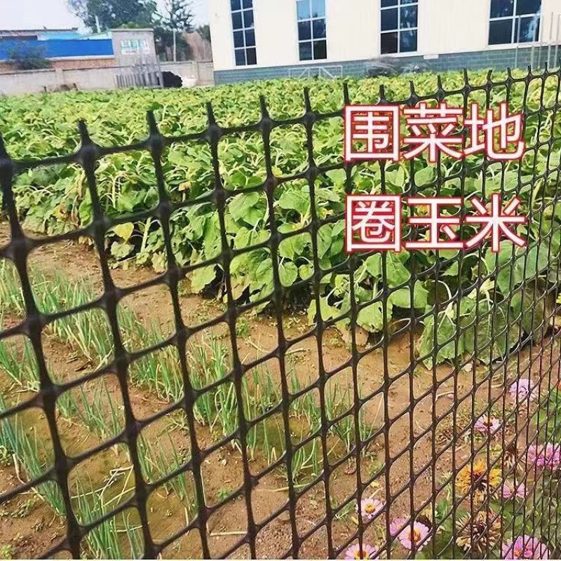 养殖网，圈地围栏，土工格栅，价格优惠，支持特殊规格定制