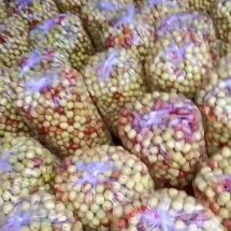 沾化冬枣