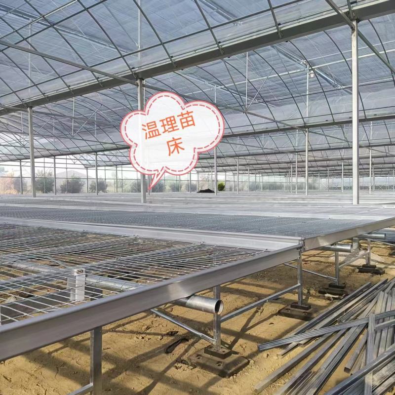 移动苗床，苗床网育苗床厂家货源，价格优，支持特殊规格定制