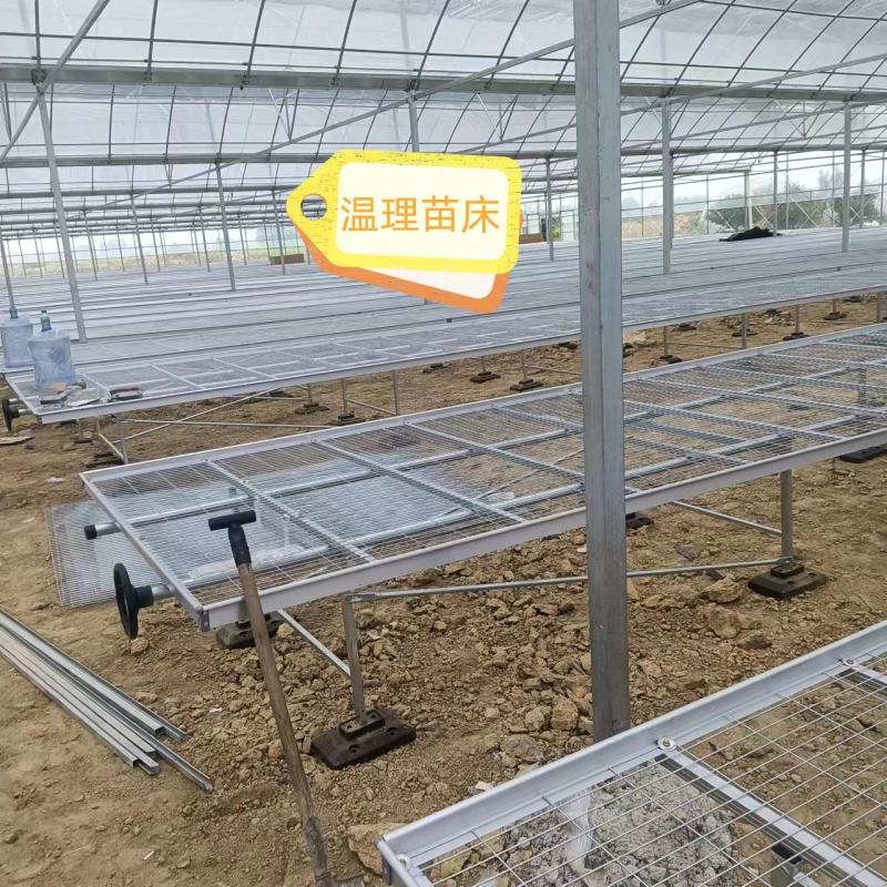 移动苗床，苗床网育苗床厂家货源，价格优，支持特殊规格定制