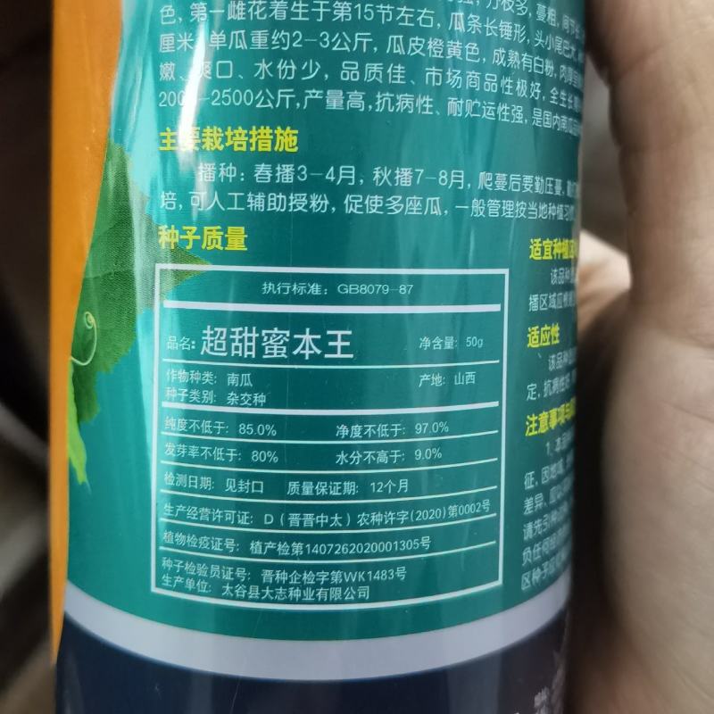 超甜蜜本南瓜种子粉面密本南瓜种子甜面南瓜种籽早熟高产