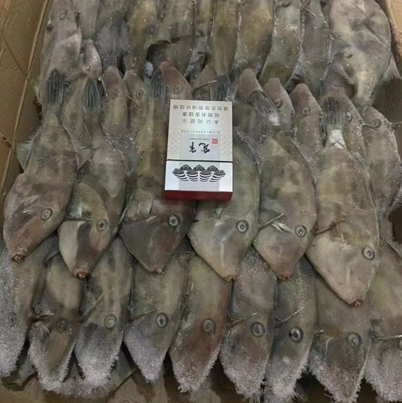 扒皮鱼