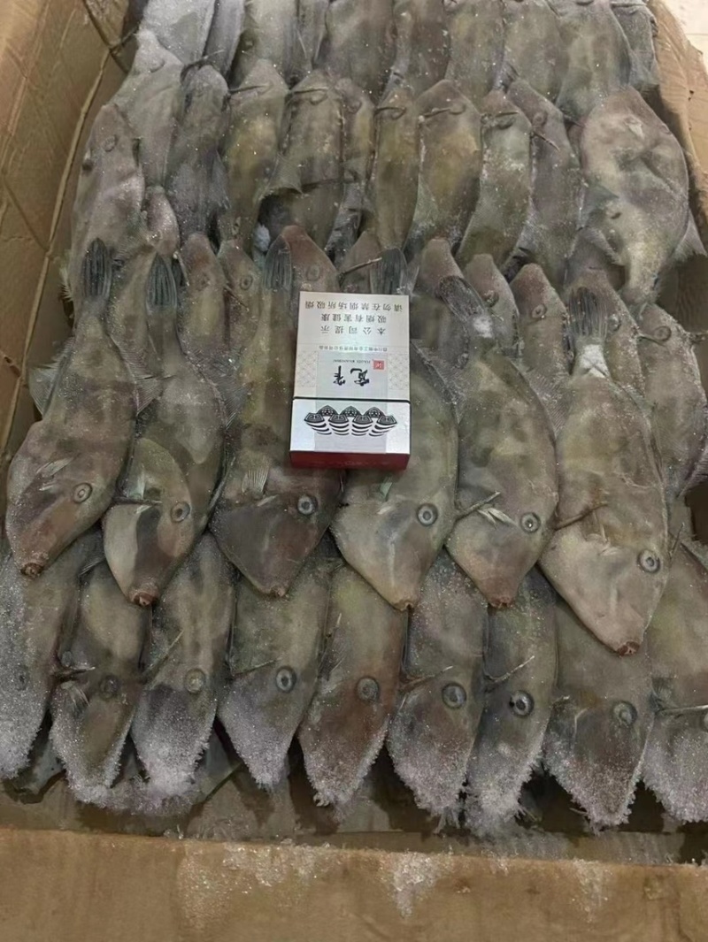 扒皮鱼