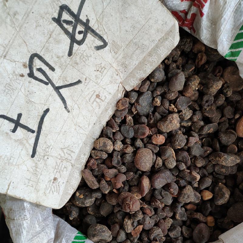 中药材土贝母贝母无硫无提取地苦胆