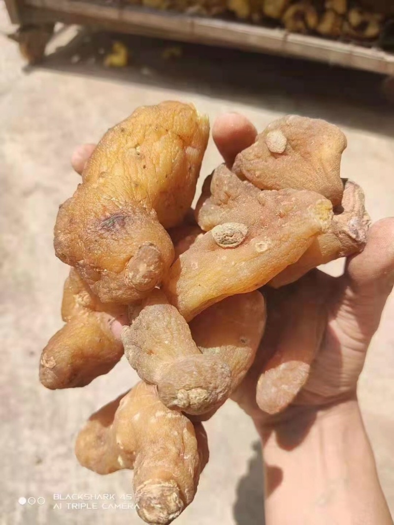 黄精鸡头黄精甜黄精鲜黄精