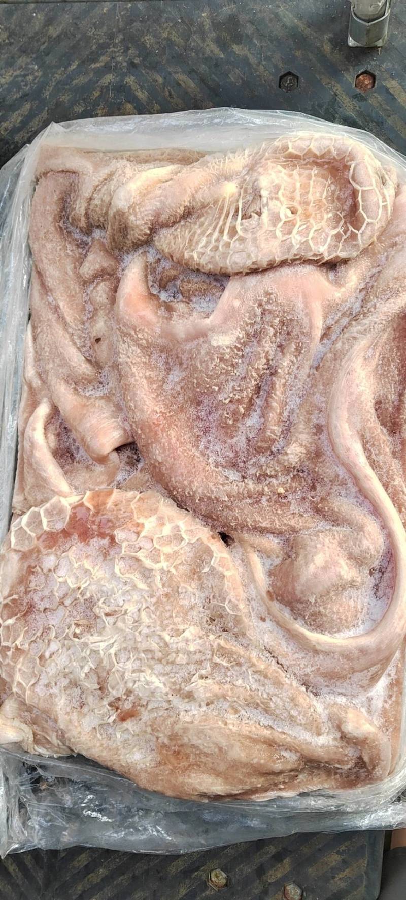 干水牛肚广东牛副产品厂家直发大量供货支持代发全国市场