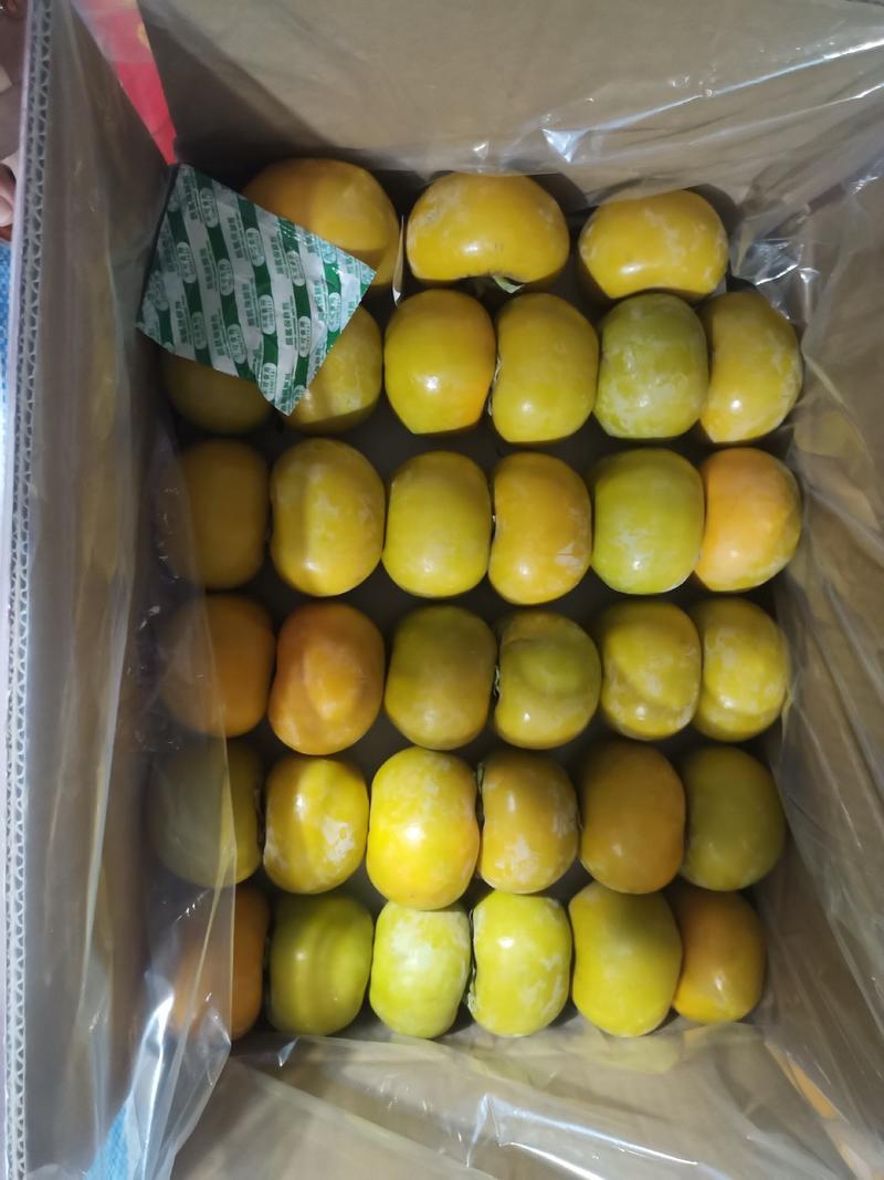 桂林脆柿柿子，脆柿新鲜水果桂林特产电商脆柿柿子便宜货
