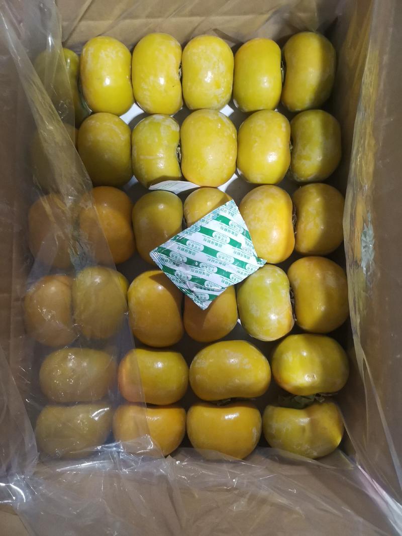 桂林脆柿柿子，脆柿新鲜水果桂林特产电商脆柿柿子便宜货