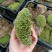 青苔白发藓