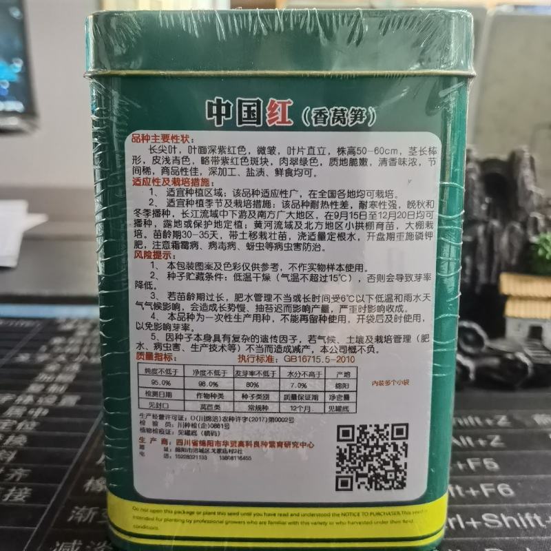 耐寒红莴笋种子中国红挂丝红莴笋种子香莴笋莴苣种子农户用