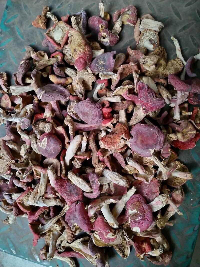 云南家乡的精品野山红菇，纯正山货，口感鲜美，欢迎来电咨询