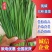 韭菜精品头茬韭菜一手货源质量优价格低代发全国